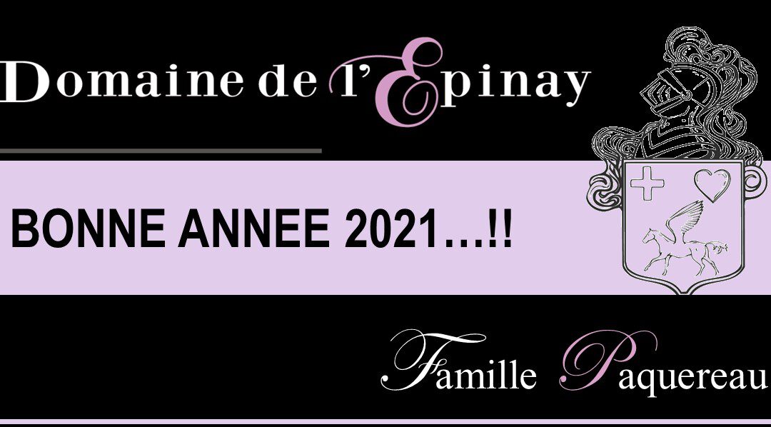 MEILLEURS VOEUX 2021